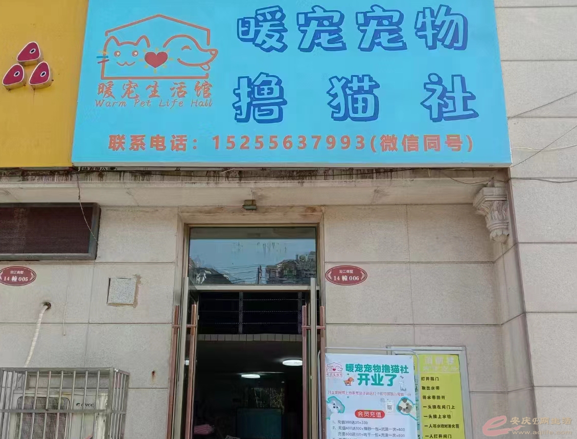 ad60b7a654ebedff523e95410b6e0f9_ͼ.jpg