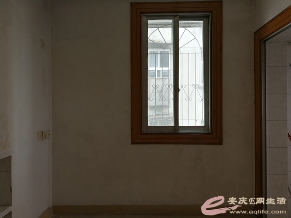 b19a5519-baa7-4eee-9cca-fa181d342965_0.jpg