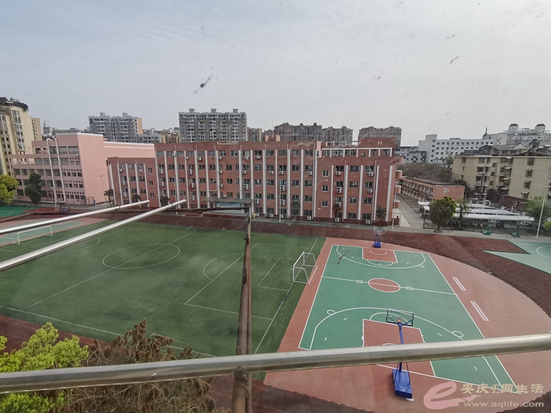 IMG_20230327_153902.jpg