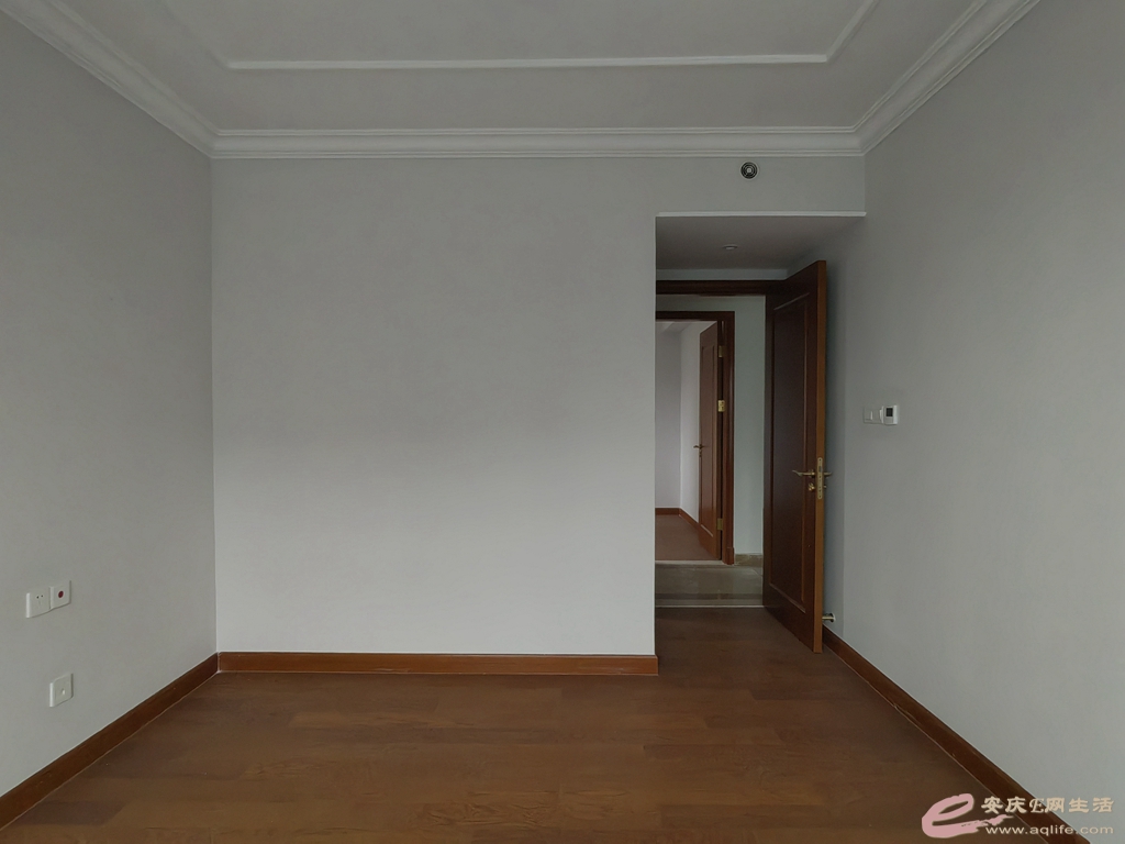 16fa8292-ef22-40a2-ad84-2780fd1a0135_0.jpg