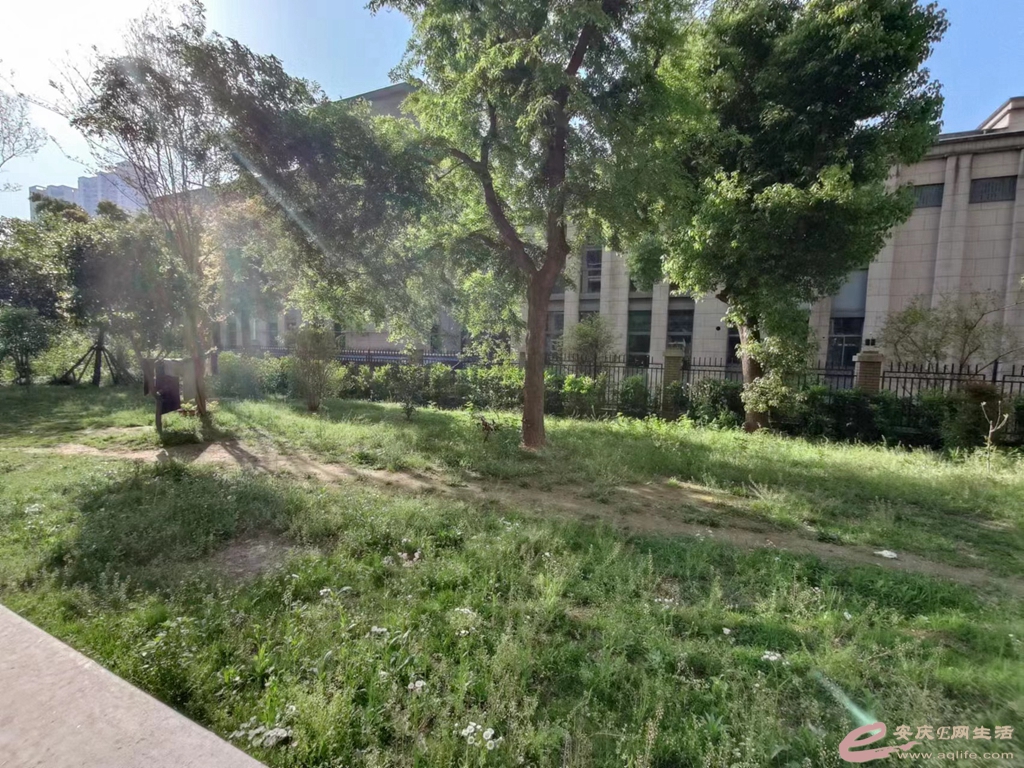 d3d0ad59-034e-463c-9bdd-671366331acc_0.jpg