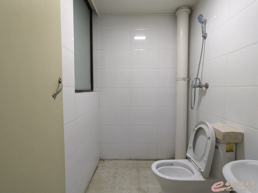 084501x48auge00ceh9jax.jpg