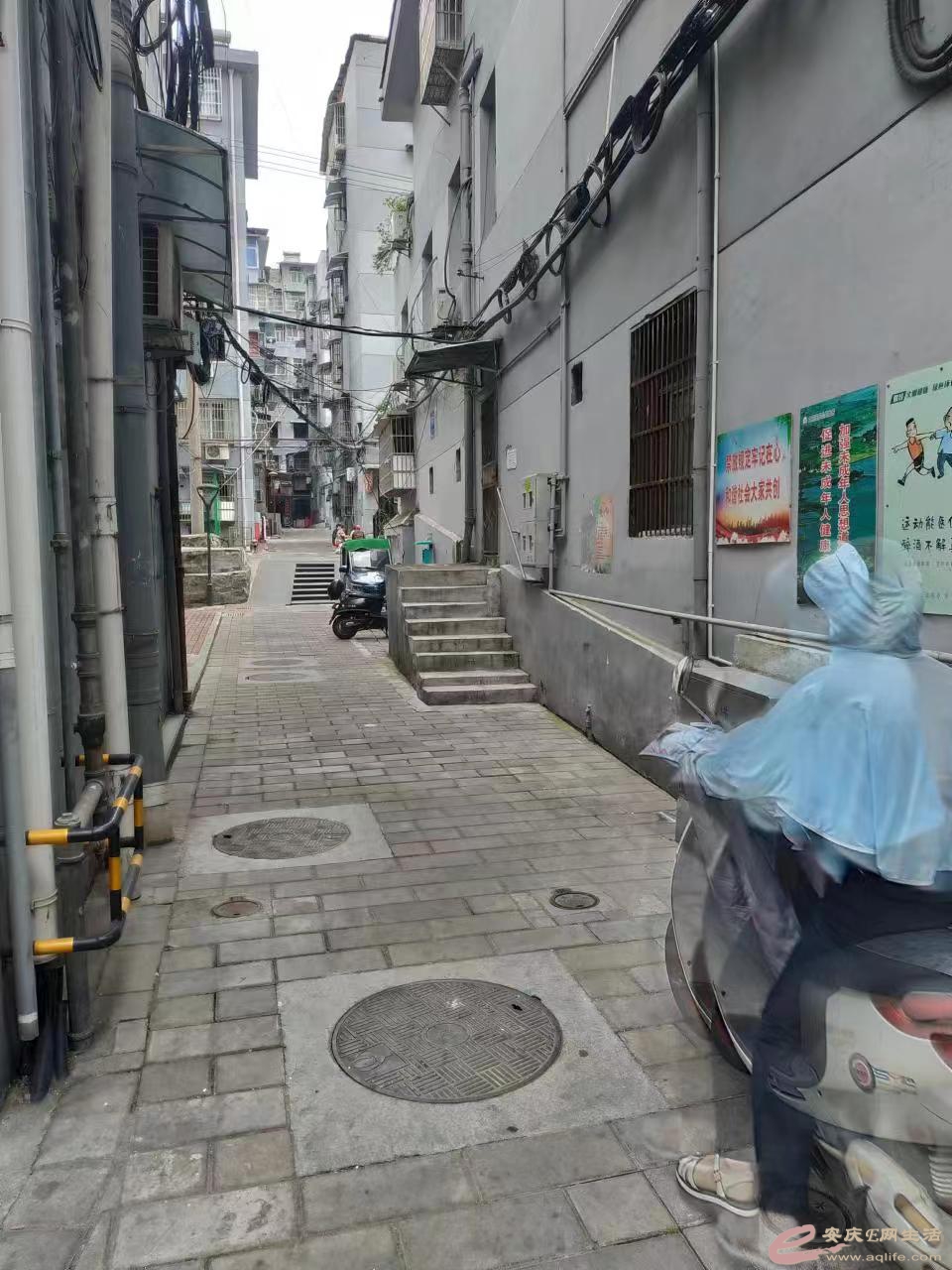 003.jpg
