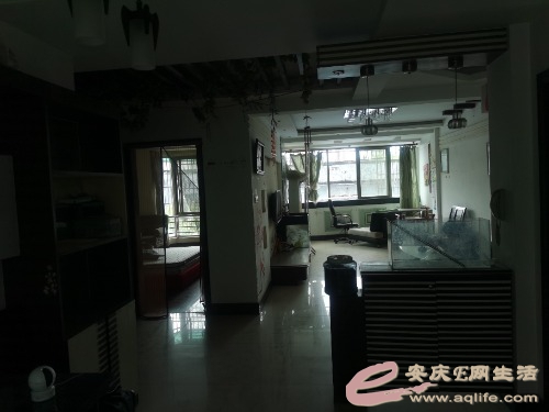 113505wzebkk66692w8tt6.jpg