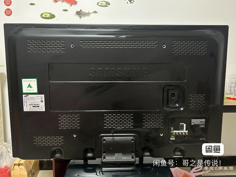 1696000245926640512.jpg