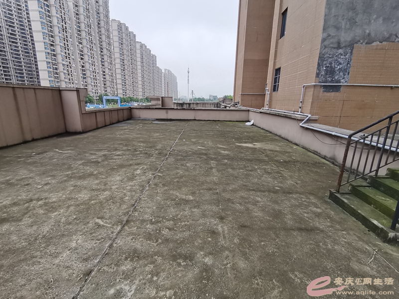 112825dggbksng9w56gg5g.jpg