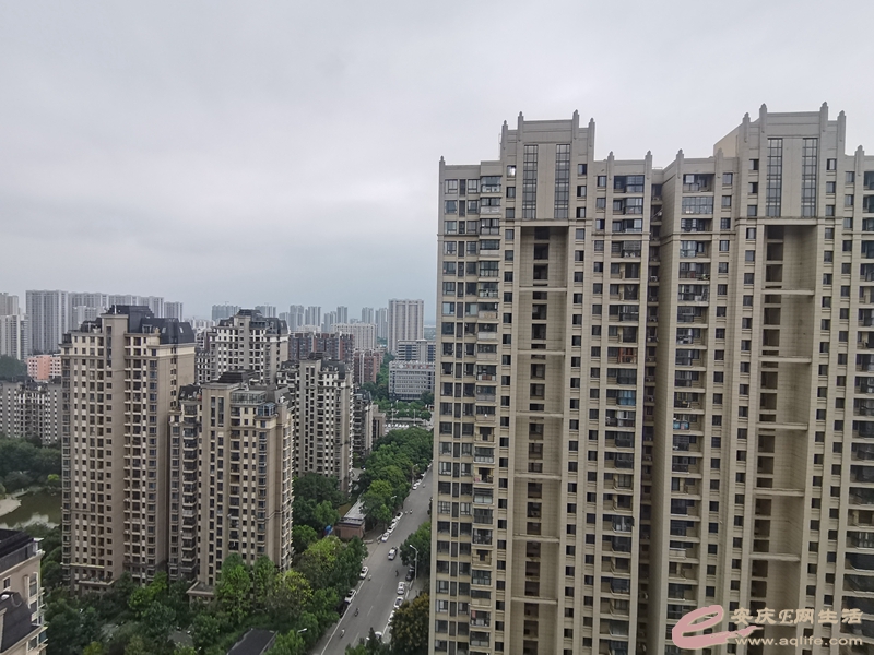 111040tvbh1dp1zfrr1hb1.jpg