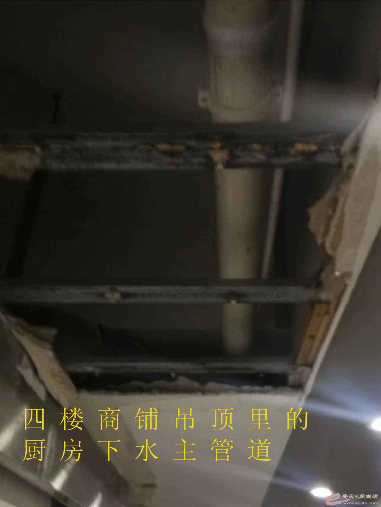 ¥1.jpg