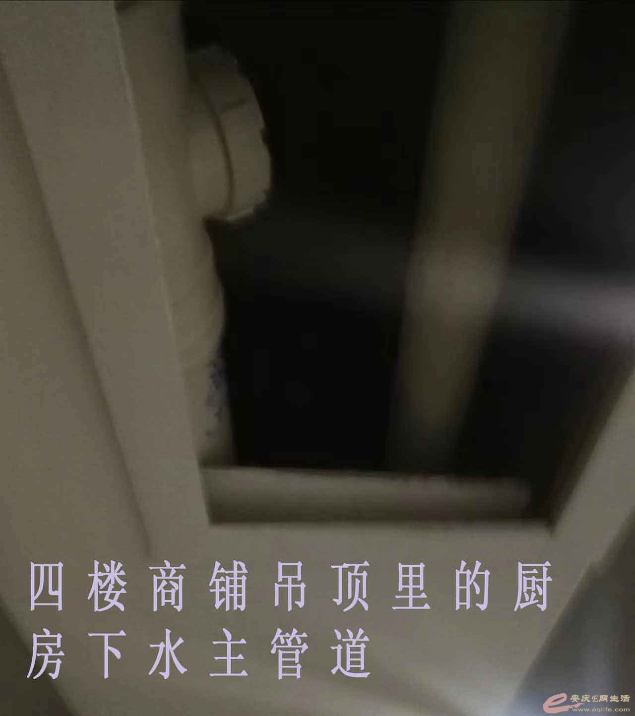 ¥3.jpg