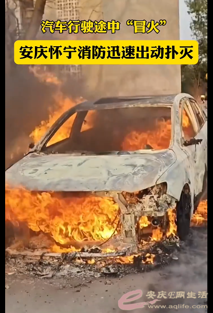 ΢Žͼ_20231226141025.png