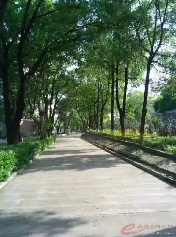 ΢ͼƬ_20220606125659.jpg