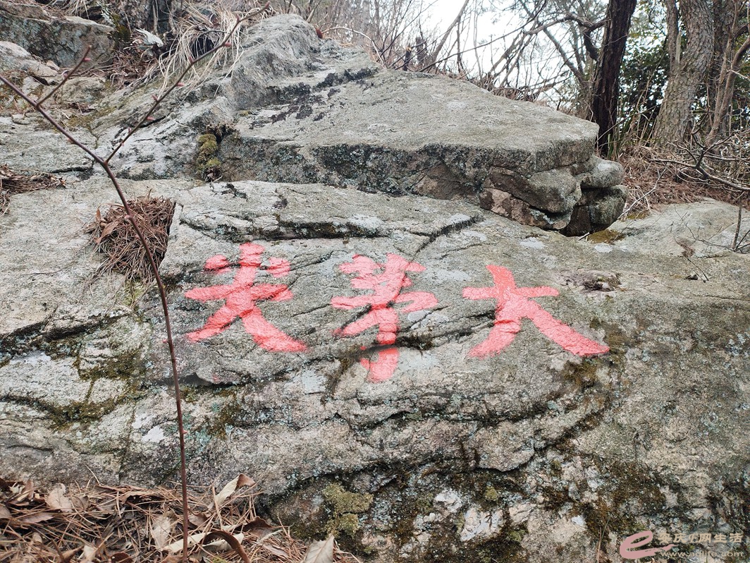 IMG_20240313_095845.jpg