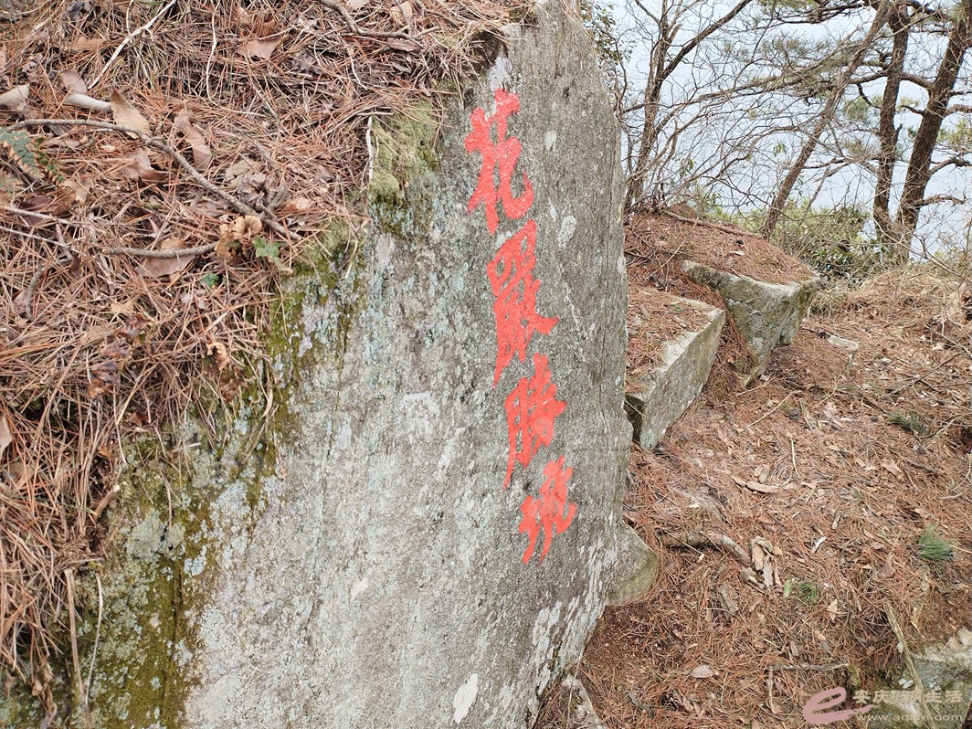 IMG_20240313_114022.jpg
