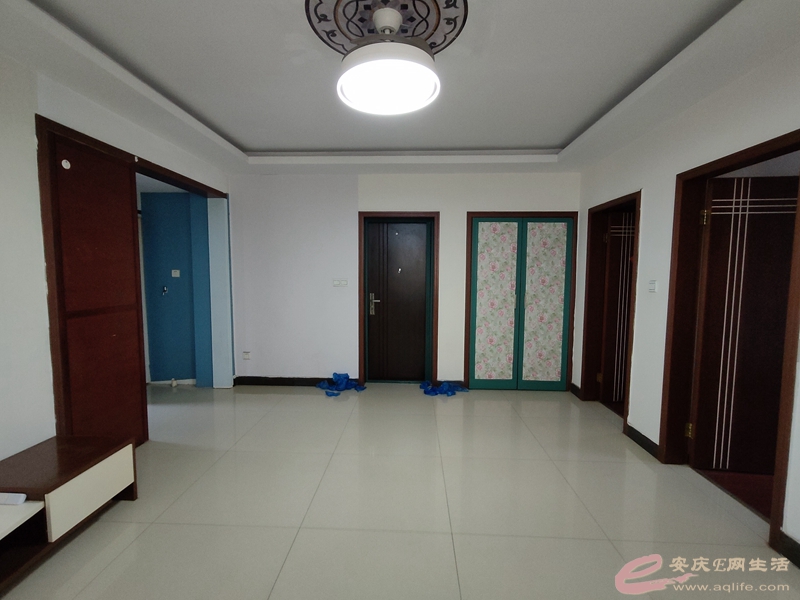 IMG20240419135807.jpg