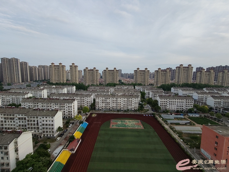 IMG20240501175210.jpg