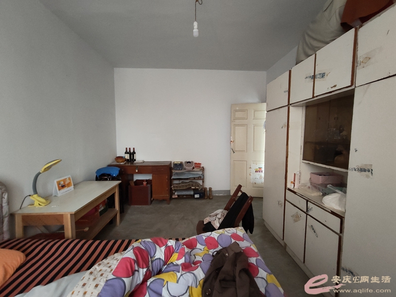 IMG20240501175305.jpg
