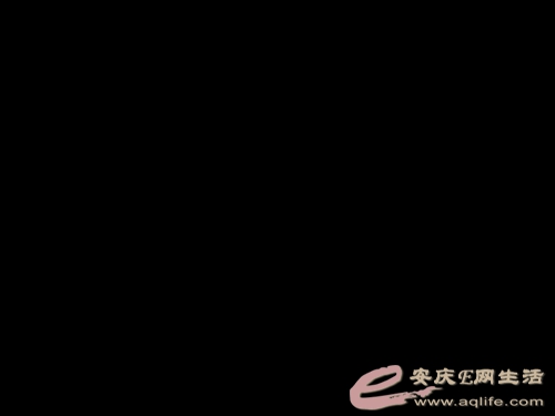 image_editor_1718587581707.jpg