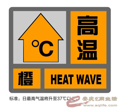 640.webp (1).png