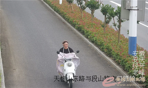 640.webp (1).png