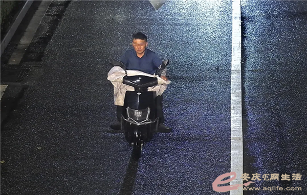 640.webp (6).png