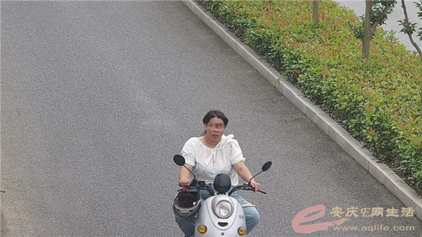 640.webp (22).png