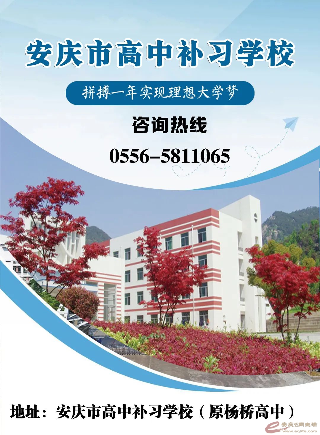synthesis_d5034d7e-daba-4bcd-aa44-a7e9bf036a03_image1720840156737.jpg
