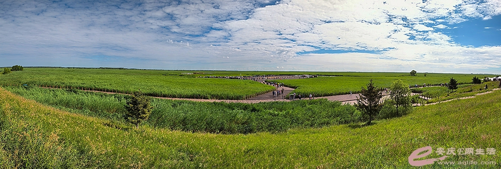 PANO_20240729_085605.jpg