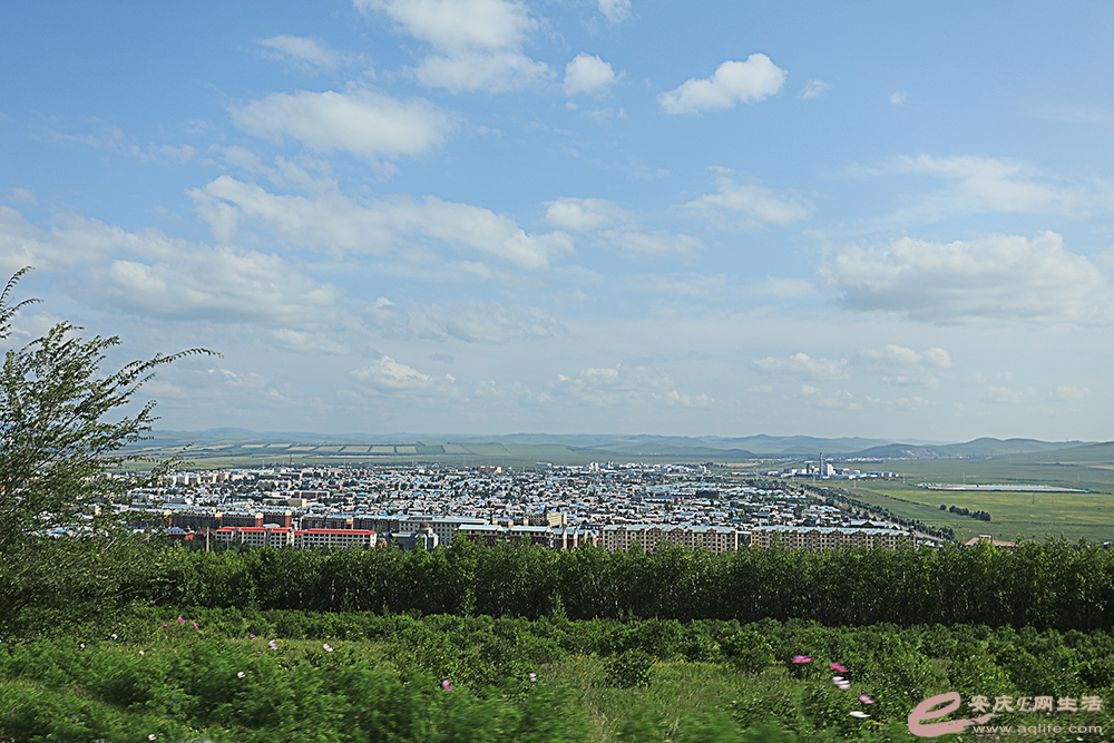 ZLGL5431.jpg
