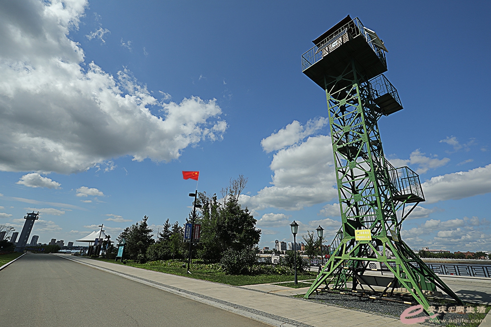 ZLGL5688.jpg