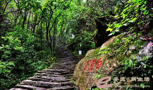 640.webp (2).png
