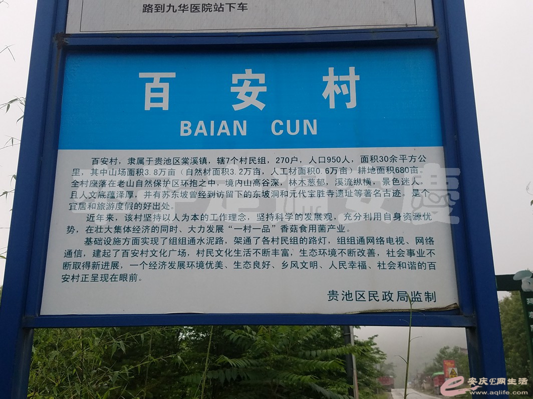 20190518_061427.jpg