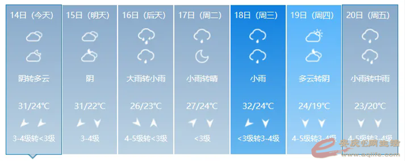 640 (1).webp.png