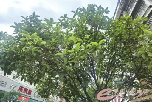 640.webp (1).png