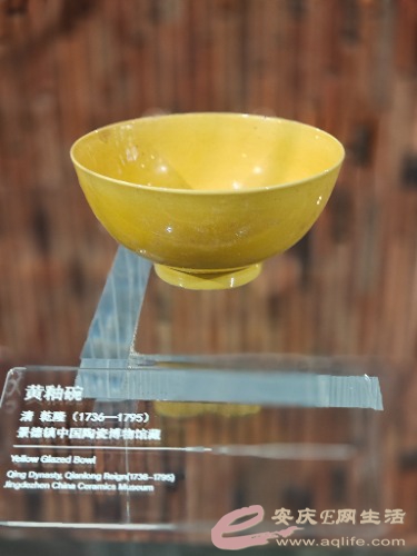 IMG20251007125353.jpg