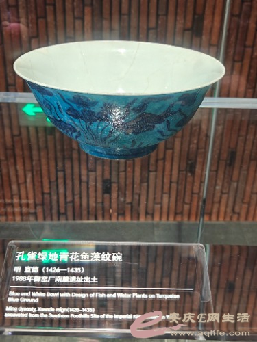 IMG20251007124433.jpg