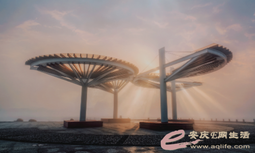 retouch_2025101611451318_edit_165043250744696.png