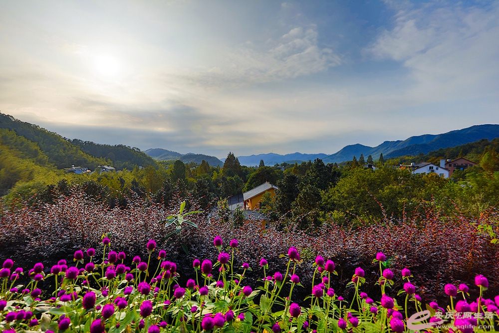 ZLGL4470 ���� 2.jpg