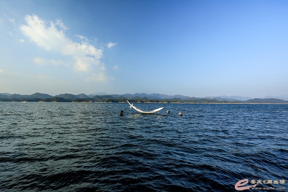 ZLGL5036 ����1.jpg