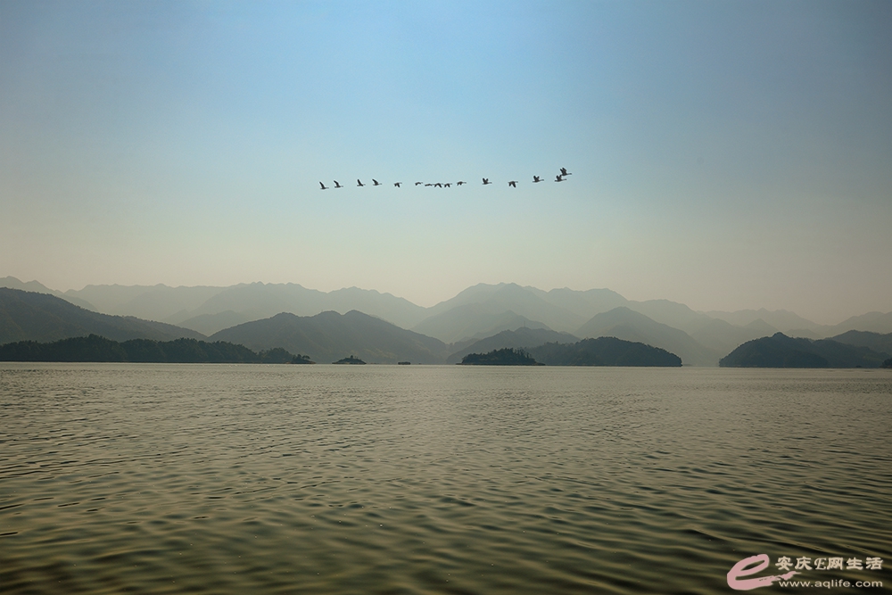 ZLGL5266 ����1.jpg