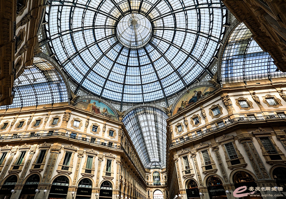 ZLGL5385 ����.jpg