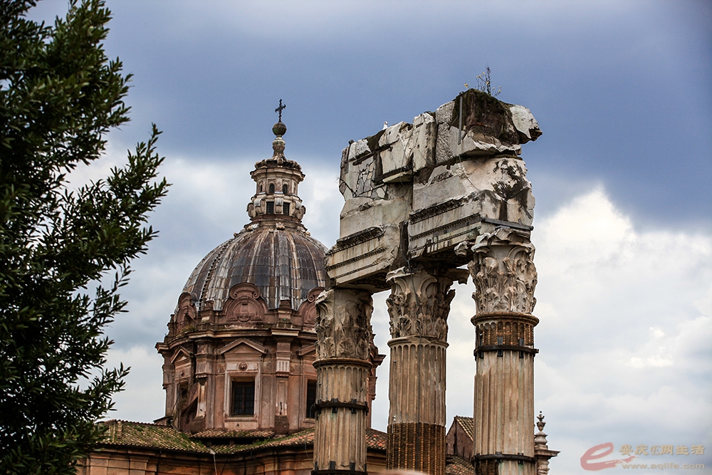 IMG_4499 ����.jpg