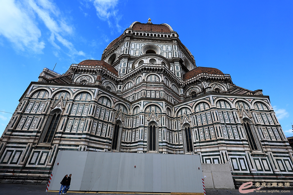 ZLGL5553 ����.jpg