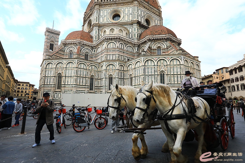 ZLGL5591 ����.jpg