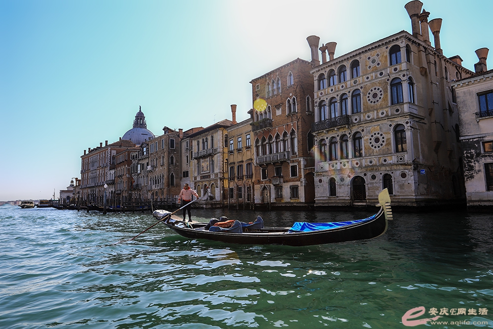 ZLGL5684 ����.jpg