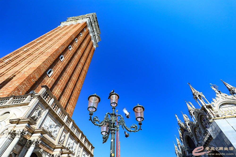 ZLGL5717 ����.jpg