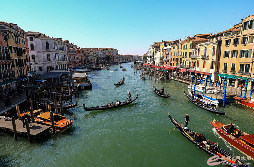 ZLGL5735 ����.jpg