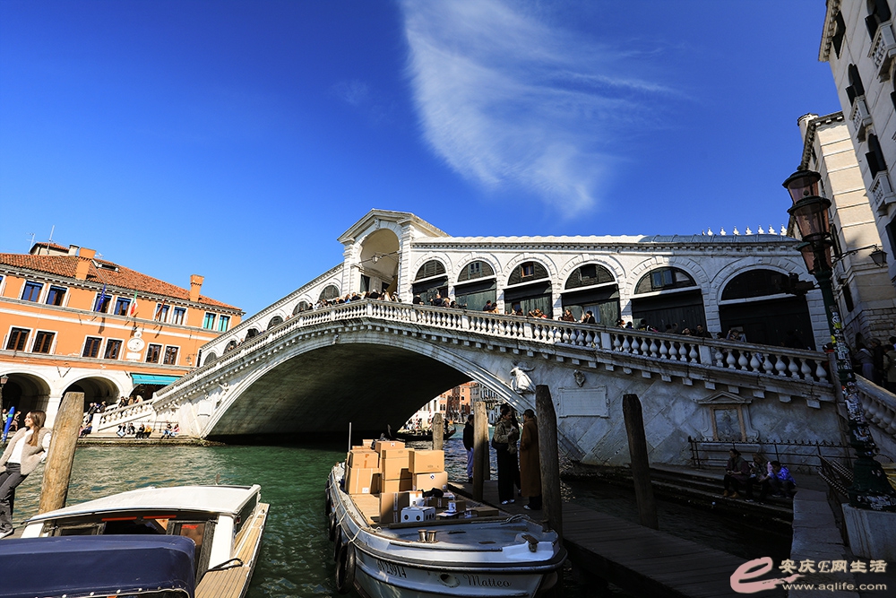 ZLGL5755 ����.jpg