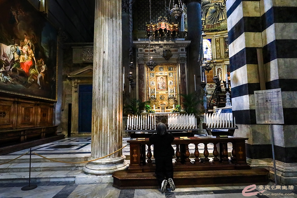 ZLGL5638 ����.jpg