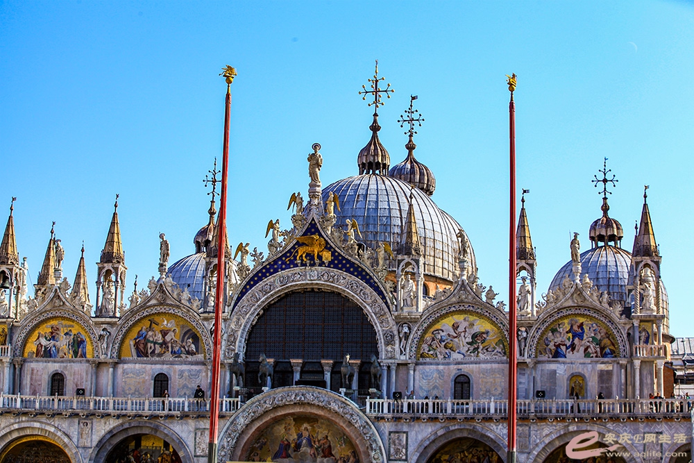 IMG_4659 ����.jpg