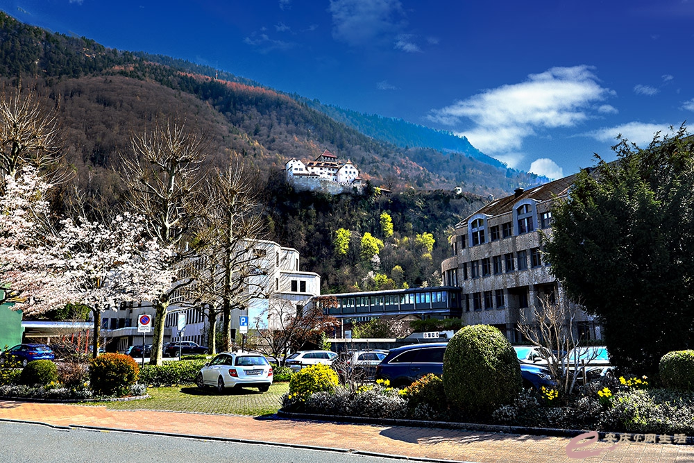 ZLGL5824 ����.jpg